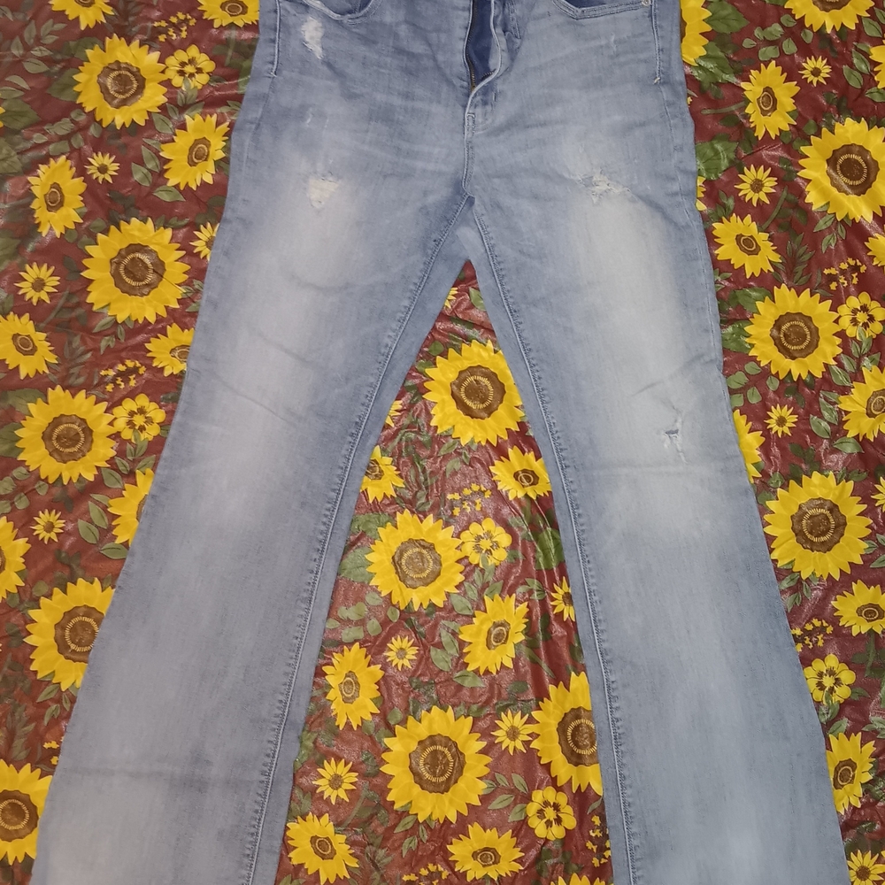 14 X Long American Eagle Hi Rise Artist Flare